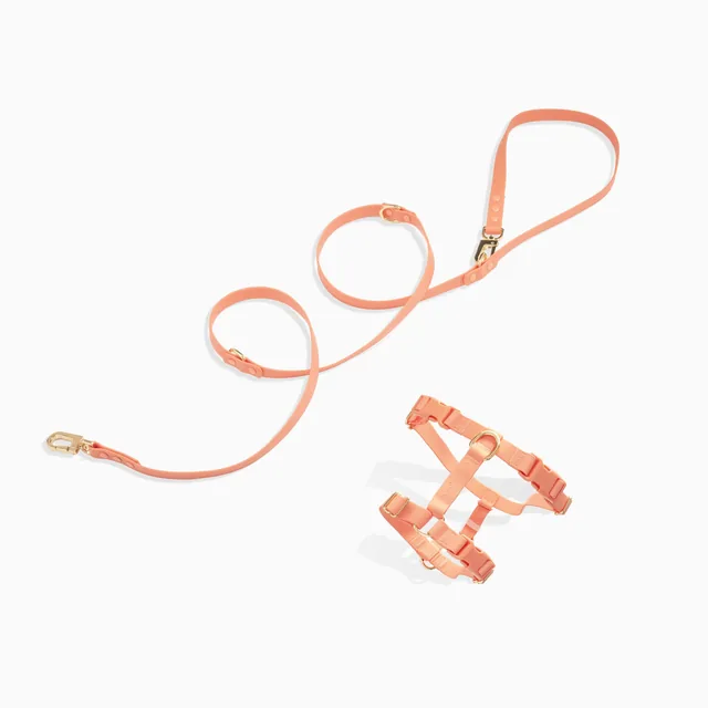 E-commerce product photography by lightwrk