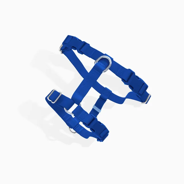 Blue adjustable dog harness photographed on a white background