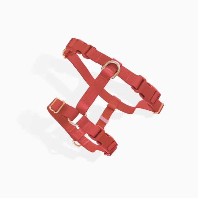 E-commerce product photography by lightwrk